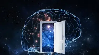 Entérate qué tipo de mente tienes según tu forma de actuar Entérate qué tipo de mente tienes según tu forma de actuar