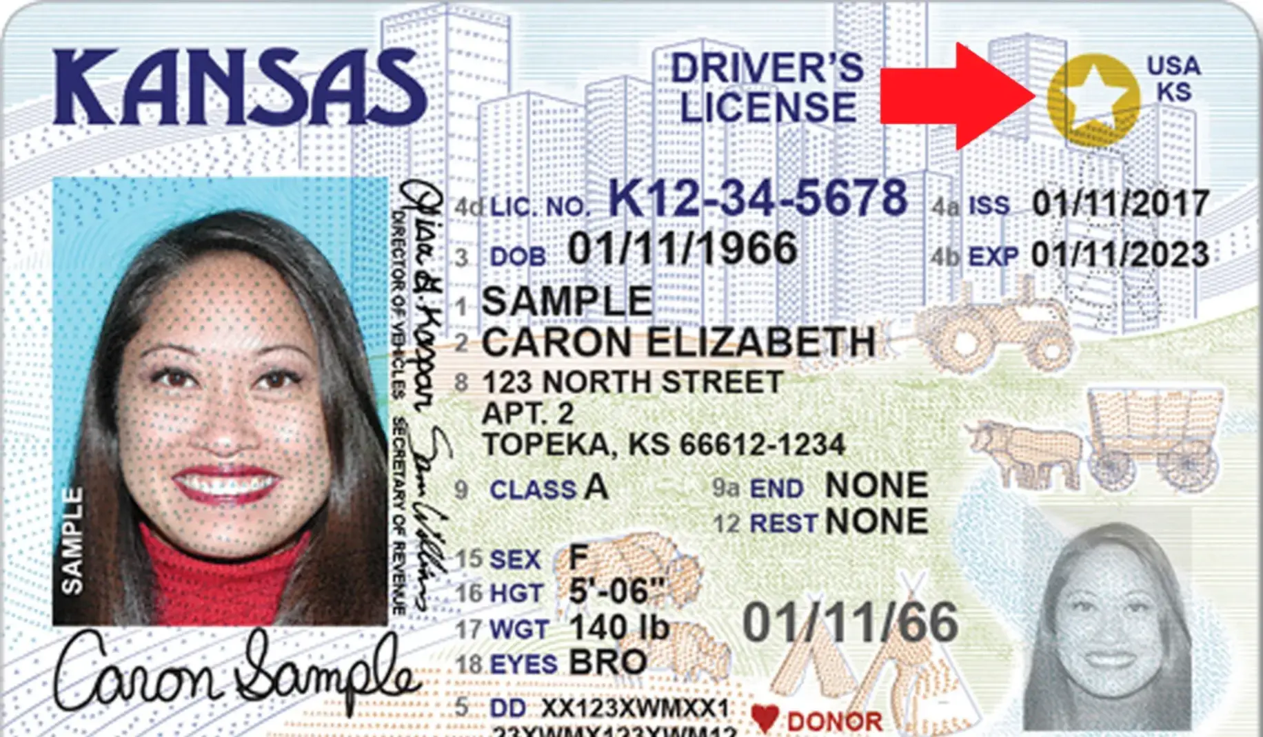 EEUU | ¿Implementación de la Real ID elimina el resto de licencias de conducir?: Esto dice el DHS