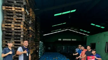 Comerciantes asiáticos donan 2.500 bolsas de comida para Cumanacoa