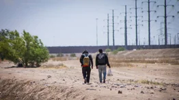 Sepa el costo de mantener a un migrante en la frontera sur de México