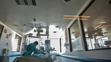 EEUU | Fallece mujer que recibió trasplante de riñón de cerdo EEUU | Fallece mujer que recibió trasplante de riñón de cerdo