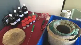 Descubren el vino más antiguo del mundo: más de 2 mil años