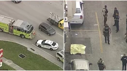 Un muerto y dos heridos por tiroteo en Miami-Dade (+Detalles)