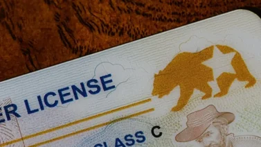 EEUU | Documentos que deben presentar los portadores de la Green Card para obtener la Real ID