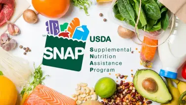 EEUU | ¿Cómo debe tramitar la recertificación del SNAP en Texas? (+Fecha) EEUU | ¿Cómo debe tramitar la recertificación del SNAP en Texas? (+Fecha)