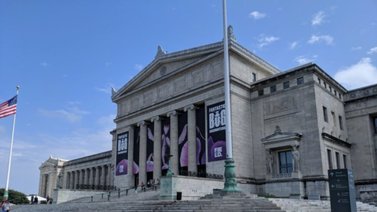 Conozca los días gratuitos en los museos de Chicago para julio (+Listado)