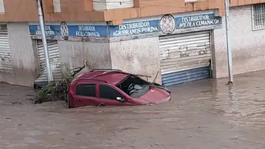 Actualización: Aumenta cifra de fallecidos tras paso del huracán Beryl en Sucre Actualización: Aumenta cifra de fallecidos tras paso del huracán Beryl en Sucre