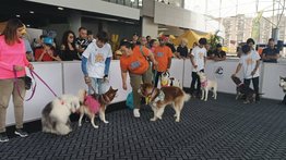 Así se desarrolló el primer Can Fest Internacional en Caracas (+Fotos)