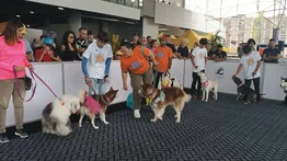 Así se desarrolló el primer Can Fest Internacional en Caracas (+Fotos)