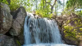 Los parques con cascadas y lagos para refrescarse ante el calor en Chicago