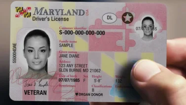 EEUU | ¿Cómo tramitar la licencia de conducir en Maryland? (+Requisitos)