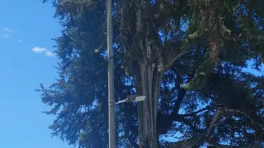 Ecuador implementará proceso extraordinario de regularización para venezolanos Ecuador implementará proceso extraordinario de regularización para venezolanos