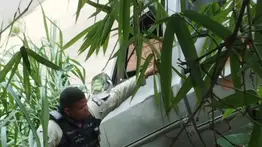 Vehículo cayó a la rivera del río Guaire la tarde de este #25Jun (+Fotos)