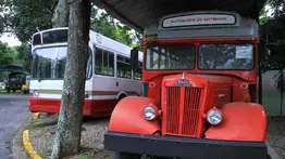 LO ÚLTIMO: TSJ ordena al Museo del Transporte a entregar el terreno donde funcionan