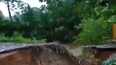 Barinas | Colapsó vía al puente Michay (+Video) Barinas | Colapsó vía al puente Michay (+Video)