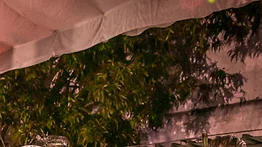 Mata Rica prende la fiesta con "Caracha party" (+Detalles)