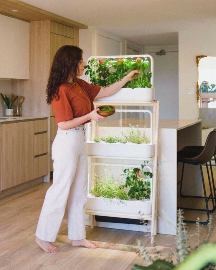 Huerto: conoce qué te ofrece más allá de los alimentos Huerto: conoce qué te ofrece más allá de los alimentos