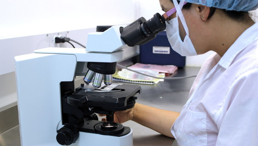 Científicos sugieren que la IA podría ayudar a detectar el cáncer en etapa temprana Científicos sugieren que la IA podría ayudar a detectar el cáncer en etapa temprana