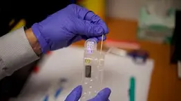 Prueba de ADN confirmará si cuerpo hallado en Colombia es de migrante venezolano