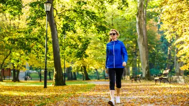 Reglas de oro ¡Así puedes cuidar tu interior! Reglas de oro ¡Así puedes cuidar tu interior!