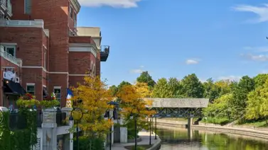 Illinois | Conozca la ciudad donde los latinos ganan más dinero Illinois | Conozca la ciudad donde los latinos ganan más dinero