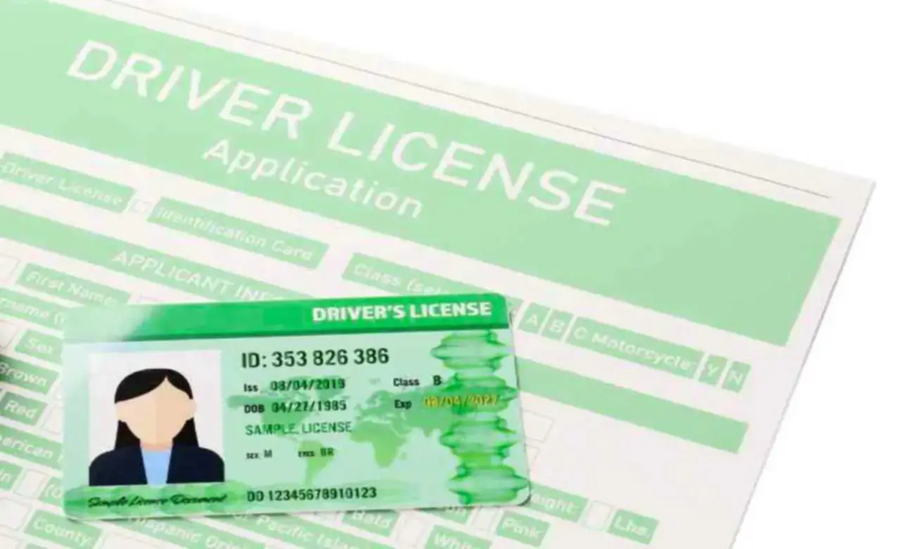 Illinois | ¿Cuáles son los límites de la licencia de conducir estándar? (+Detalles)