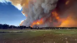 EEUU | Nuevo México activa centro de acopio: Sepa más