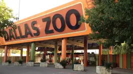 Texas | El Zoológico de Dallas ofrece promoción de verano con entradas a $1 (+Detalles)