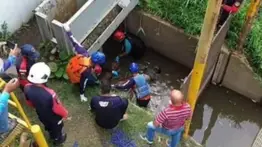 Sujetos ahogaron a un adolescente de 12 años en el río Neverí