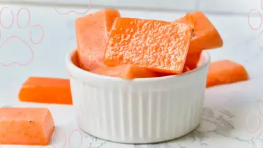 Sticks para cuidar la salud bucal de tu perro ¡Aprende a hacerlos! Sticks para cuidar la salud bucal de tu perro ¡Aprende a hacerlos!