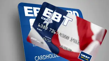 Florida | ¿Qué beneficiarios recibirán hasta $1.532 por sus cupones SNAP esta semana? Florida | ¿Qué beneficiarios recibirán hasta $1.532 por sus cupones SNAP esta semana?