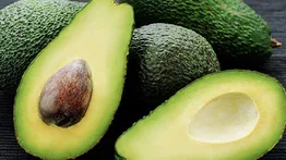 Por esta razón los aguacates mexicanos no entran a EEUU