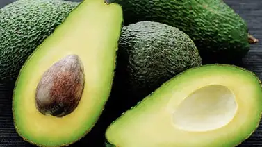 Por esta razón los aguacates mexicanos no entran a EEUU Por esta razón los aguacates mexicanos no entran a EEUU