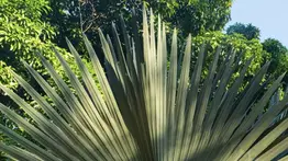 OneChot prepara el nuevo tema musical para su quinto disco