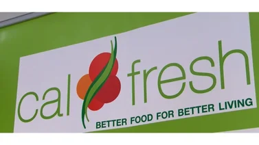 California| ¿Cómo aplicar a Calfresh si soy estudiante universitario?