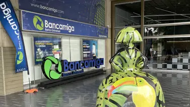 El tour de las meninas comienza en Bancamiga Altamira El tour de las meninas comienza en Bancamiga Altamira