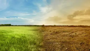 Declaran la muerte del fenómeno El Niño y se espera la contraparte fría Declaran la muerte del fenómeno El Niño y se espera la contraparte fría