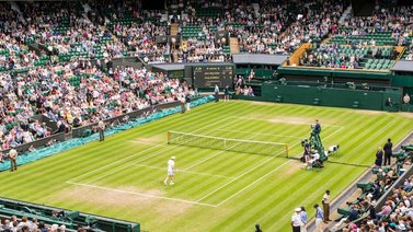 Sepa cuánto dinero ganan los campeones de Wimbledon