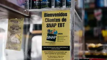 Conozca los estados que reciben cupones SNAP antes del 23 de febrero (+Cronograma) Conozca los estados que reciben cupones SNAP antes del 23 de febrero (+Cronograma)