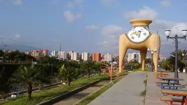 Designan a nueva alcaldesa para municipio larense (+Detalles) Designan a nueva alcaldesa para municipio larense (+Detalles)