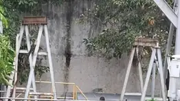 Hallan cadaver de niño reportado como desaparecido en Barcelona (+Detalles)