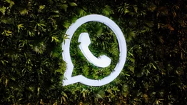 Conoce las novedades de WhatsApp para junio (+Detalles)