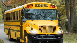 EEUU | Sepa cómo obtener la licencia de conducir para bus escolar en Nueva Jersey