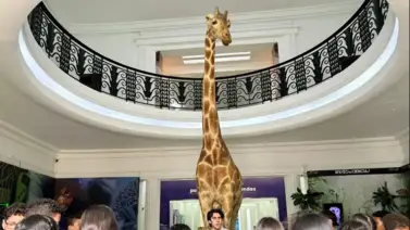 Caracas: Museo de Ciencias anuncia cierre temporal de sus espacios (+COMUNICADO) Caracas: Museo de Ciencias anuncia cierre temporal de sus espacios (+COMUNICADO)