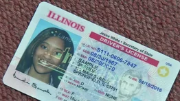 Licencia de conducir en Illinois | Estos son los documentos qué necesitas para obtenerla