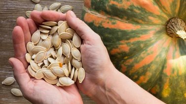 ¡Milagrosas! Estas semillas previenen el cáncer y el Alzheimer