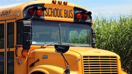 EEUU | Illinois revoca licencia de conducir transporte escolar por estas razones