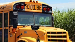 EEUU | Illinois revoca licencia de conducir transporte escolar por estas razones
