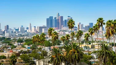 California | Estos son los mejores campos para conseguir un empleo (+Detalles)