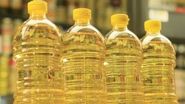 Empresarios turcos instalarán procesadora de aceite comestible en La Guaira